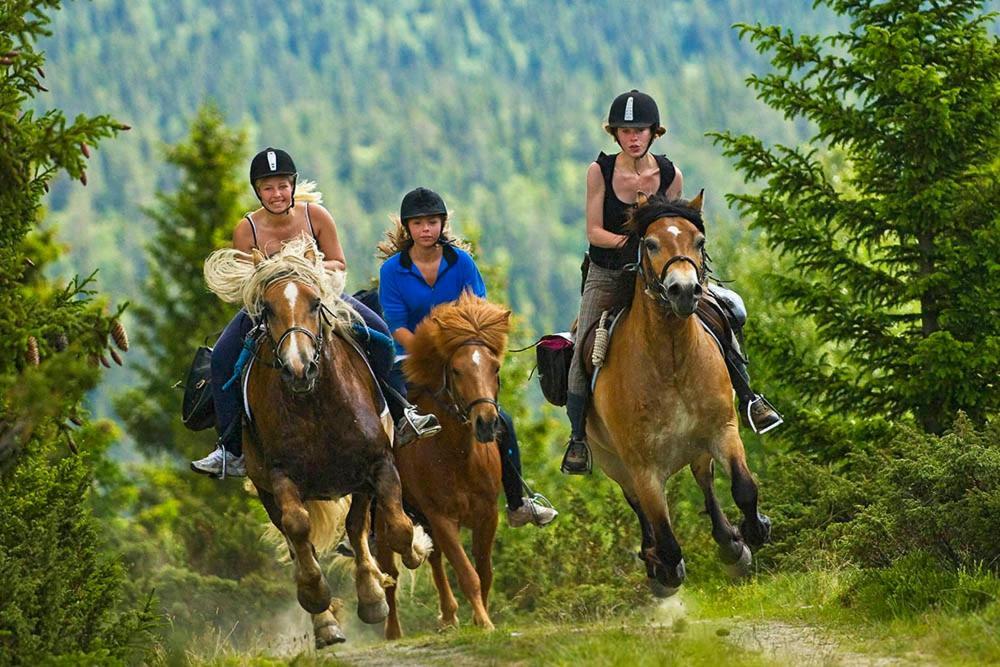 Rondane River Lodge - Rondane Gjestegard Enden المظهر الخارجي الصورة
