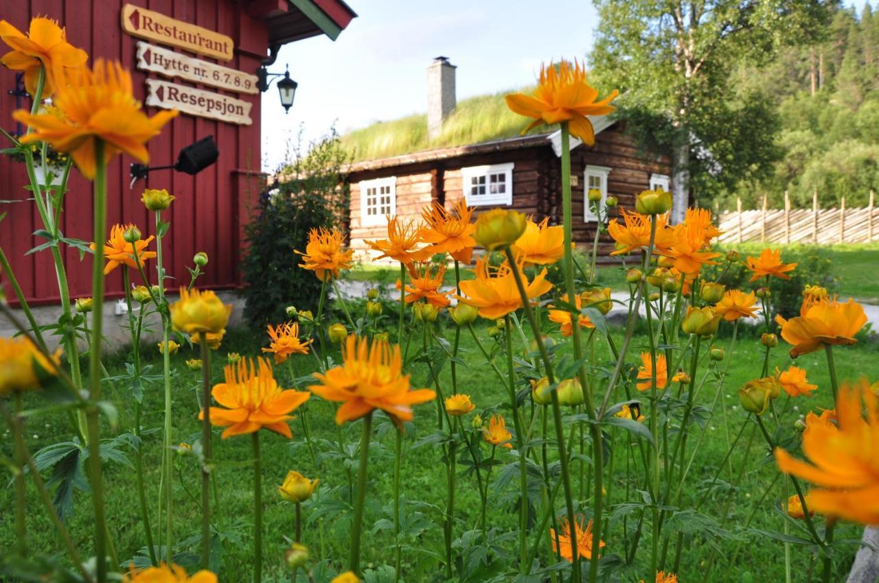 Rondane River Lodge - Rondane Gjestegard Enden المظهر الخارجي الصورة