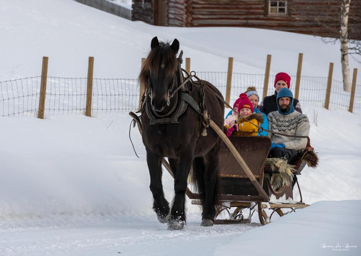 Rondane River Lodge - Rondane Gjestegard Enden المظهر الخارجي الصورة