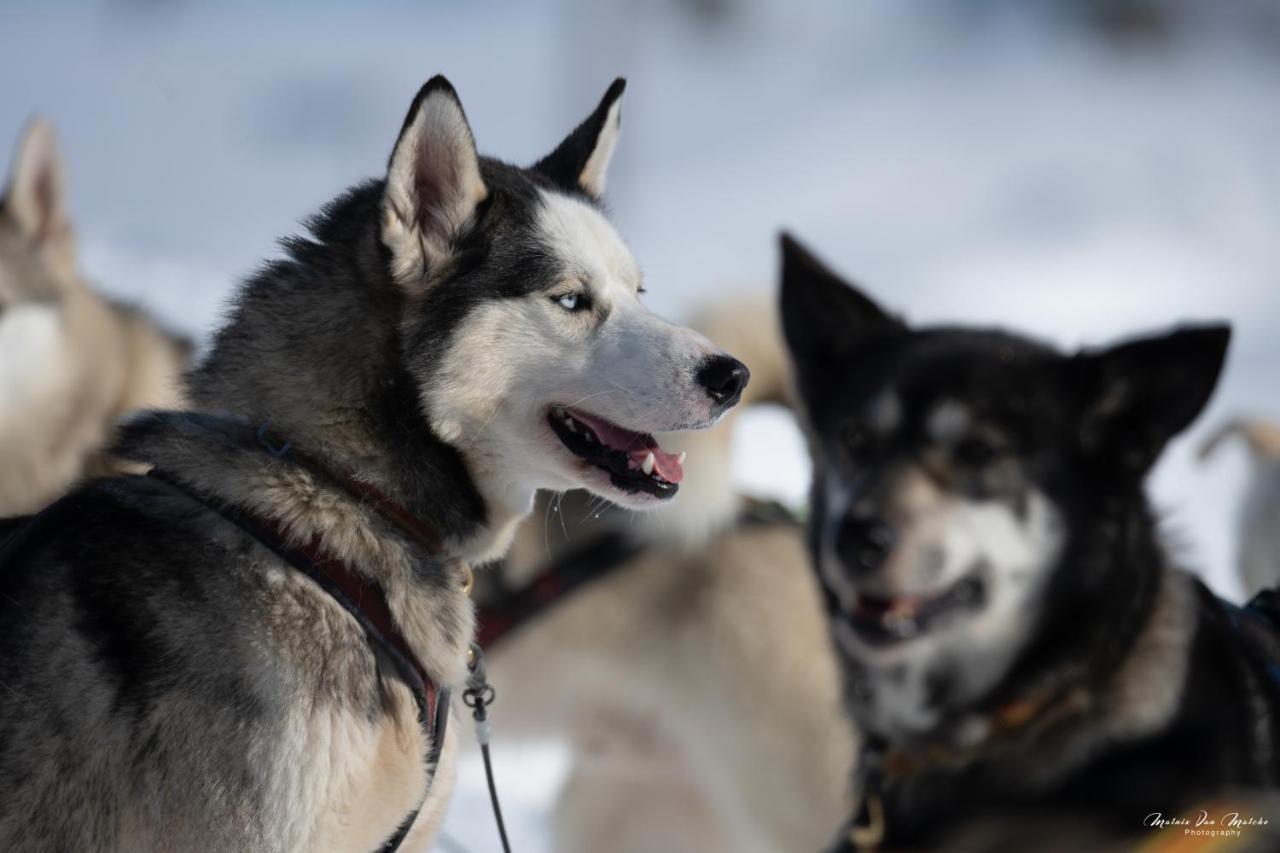 Rondane River Lodge - Rondane Gjestegard Enden المظهر الخارجي الصورة