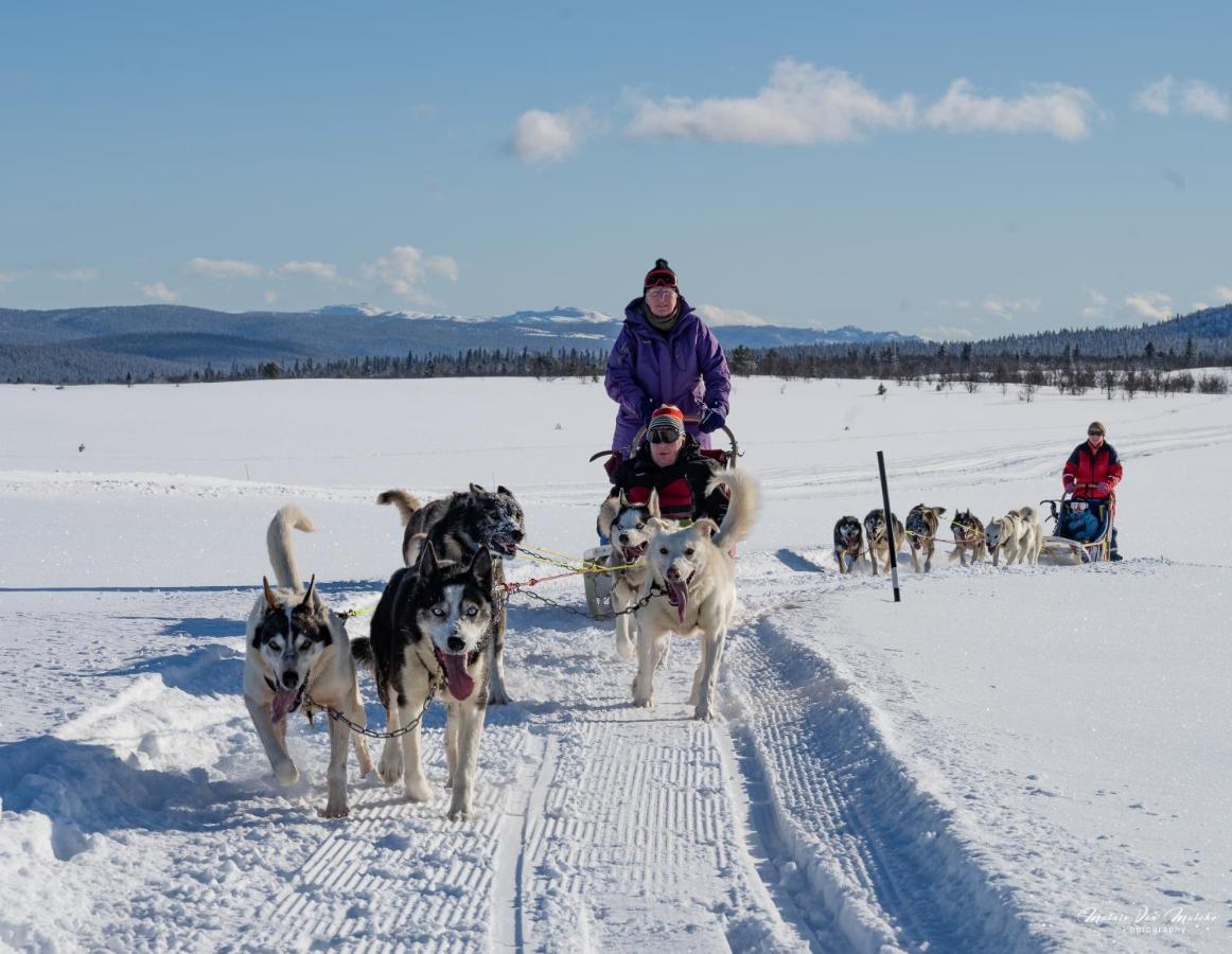 Rondane River Lodge - Rondane Gjestegard Enden المظهر الخارجي الصورة